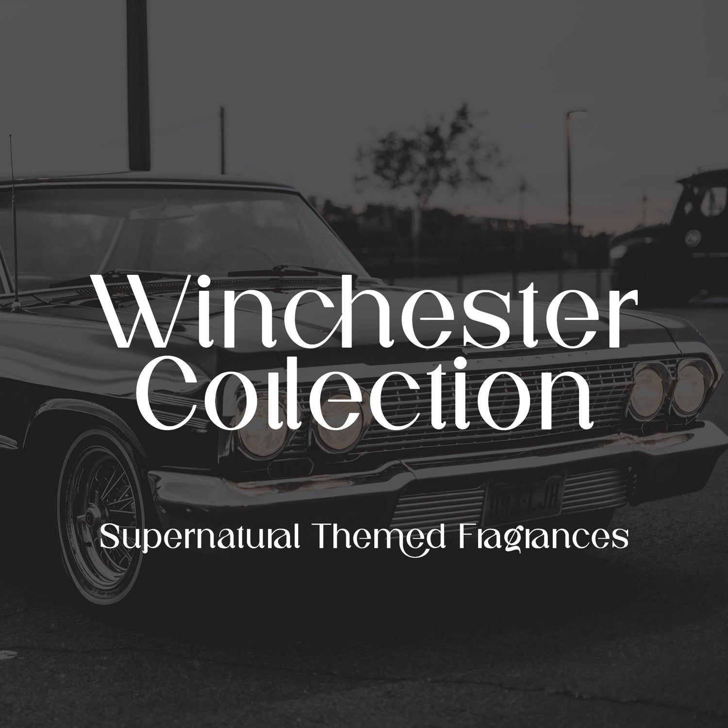 Winchester Collection