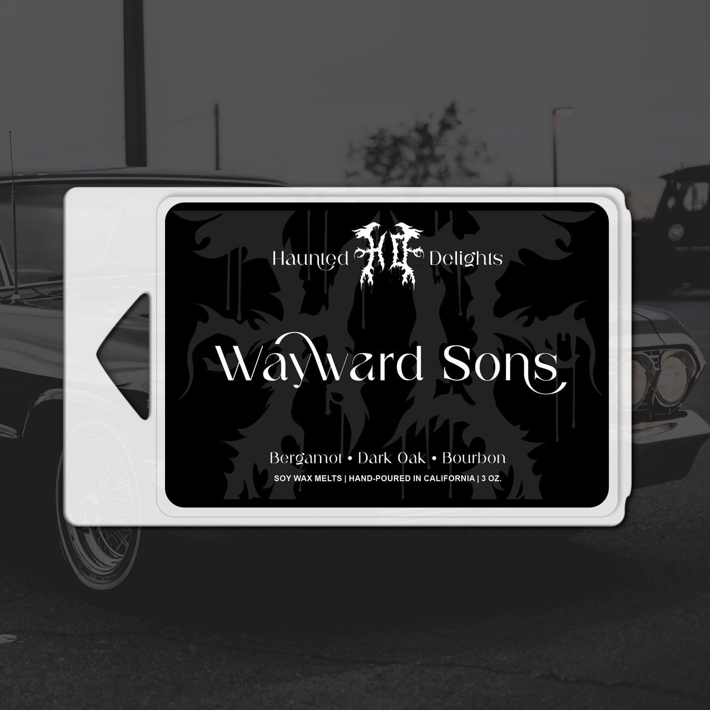 Wayward Sons