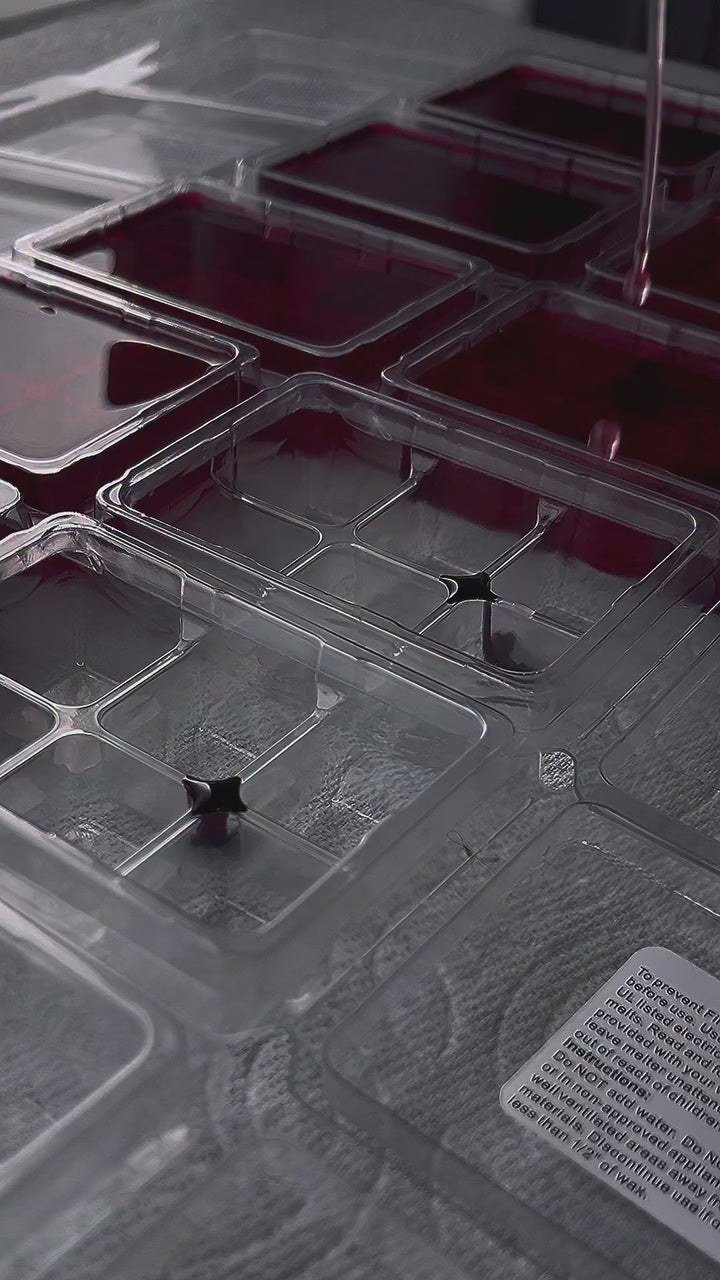 Adien’s Pretty Girl